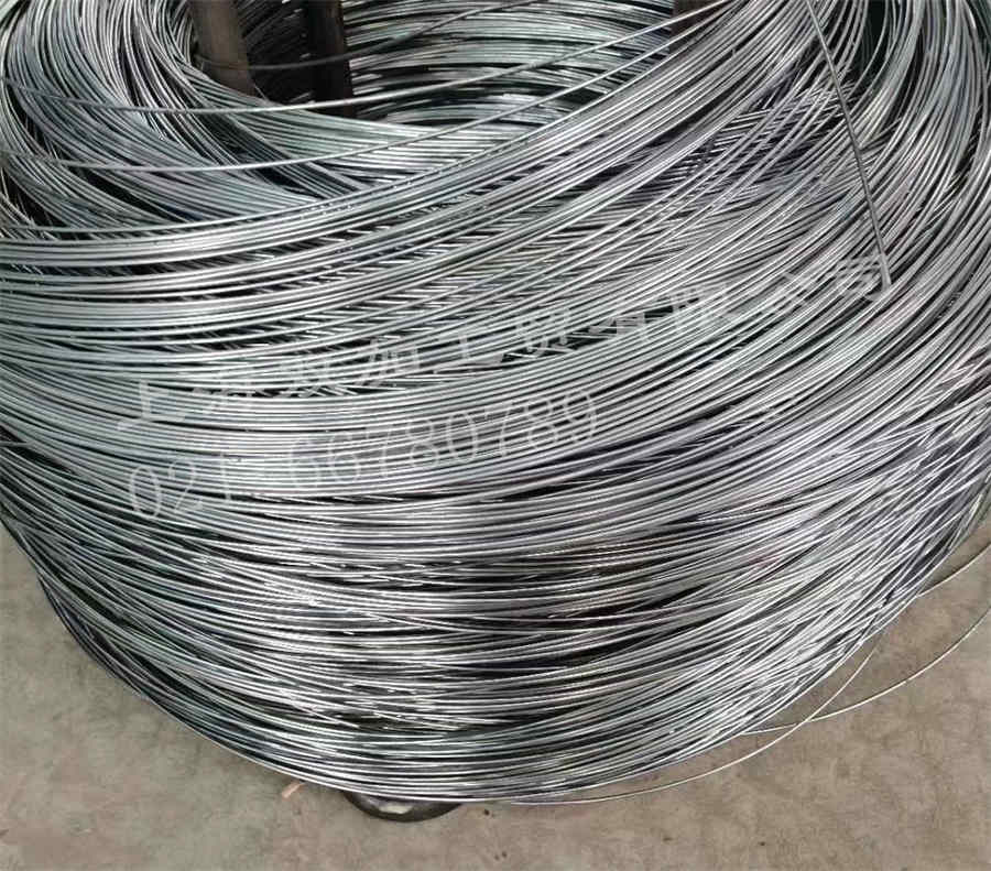 ������˿С���